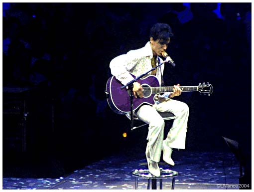 princeweb07